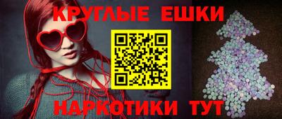 дживик Можга