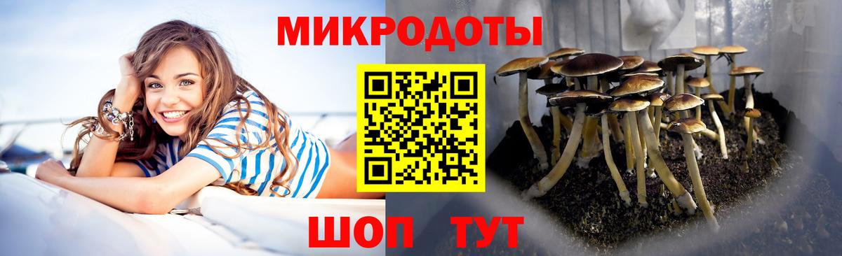 Советск  хочу   Вход с VPN  Псилоцибиновые грибы MAGIC MUSHROOMS 